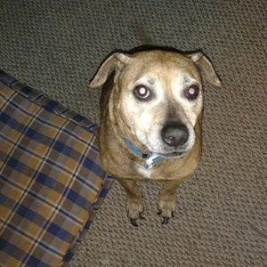 Meet your Posher, Sherry